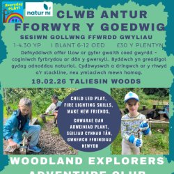 Feb half term poster