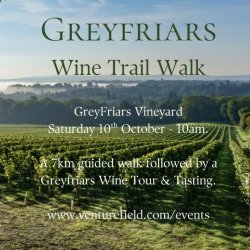 Autumn Wine Trail Walk
