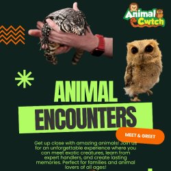 Animal Cwtch: Family Encounter Sessions 10AM-11AM