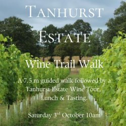 Autumn Wine Trail Walk