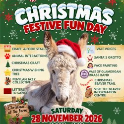 Christmas Festive Fun Day 2026