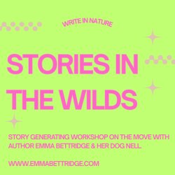 Summer Stories in the Wilds @ Wivey Library