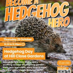 hedgehog day at Hill Close