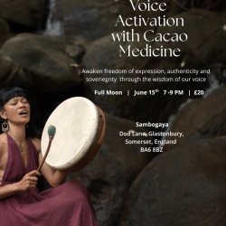 Voice Activation with Cacao Medicine :  Awakening Sovereignty Through the Wisdom of Our Voice.