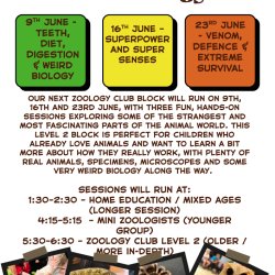 Zoology Club Swansea - Level 2 - Junior zoologists
