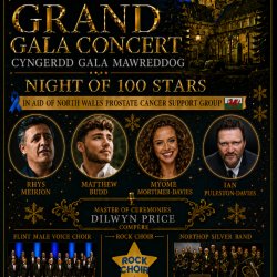 Rotary Grand Gala Concert Night of 100 stars