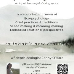 Exploring Ecological Grief