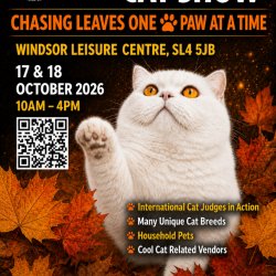 International Cat Show, Chasing Leaves One Paw At A Time, Windsor, SL4 5JB