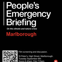 National Emergency Briefing - film screening