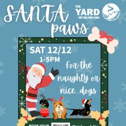 Santa Paws - A meeting with Santa for our furry friends!