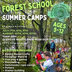 Forest School Themed Summer Camp