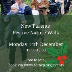 New Parents Walk
