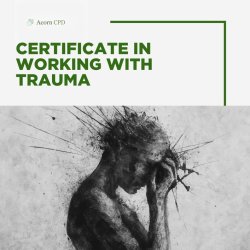 Certificate in Working with Trauma