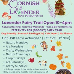 October Half Term Activities & Car Parking - 2026