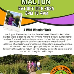 Framing The Wild - Malton