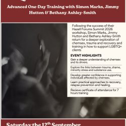 Understanding Chemsex, Trauma and Healing: Training for Clinicians Supporting LGBTQ+ Clients