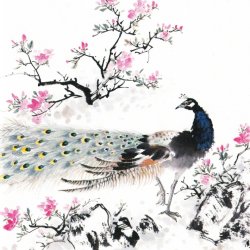 Prancing Peacocks
