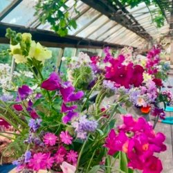 🌺 Summer Yoga, Sound & Flowers