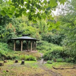 Rewilding Psyche-Soma: Becoming Eco-Centric