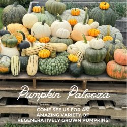 October 10th & 11th U-Pick