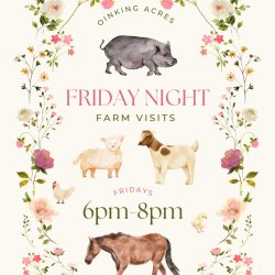 Friday Night Farm Visits