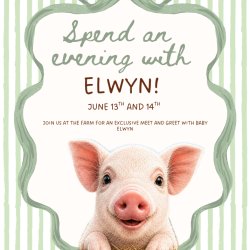 Evenings wth Elwyn