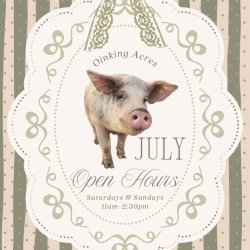 July Open Hours