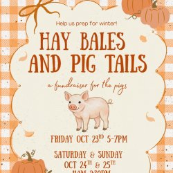 Hay Bales and Pig Tails