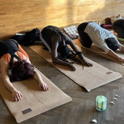 Vinyasa • Yin • Meditation: Day Retreat