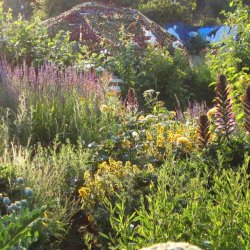 October Half Term: Holiday Club (Grow and Cook)