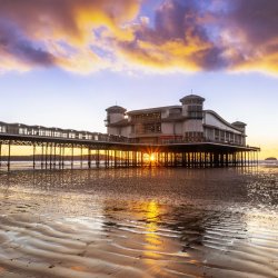 🏖️ Weston Wanderings – Coach Club by the Coast