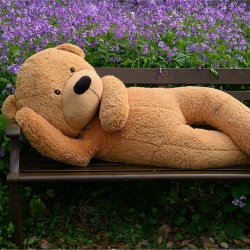 Garden Teddy Bear Hunt