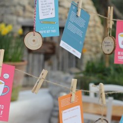 Monthly Community Chat with Rochester Eco Hub