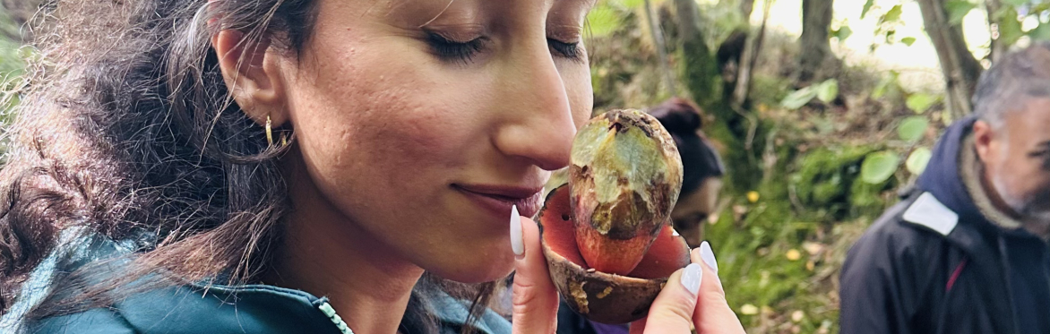Weekday Woodland Foraging Walk