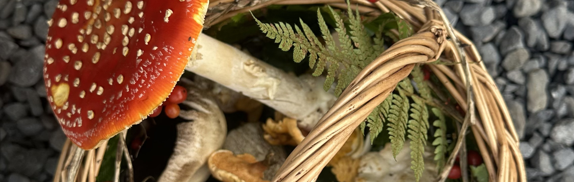 SOLD OUT Weekend Woodland Foraging Walk