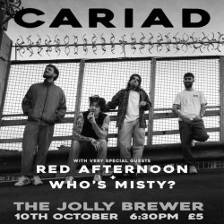 CARIAD plus support