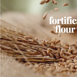 Mandates are BACK! Folic Acid in YOUR flour! - Professor Richard Ennos