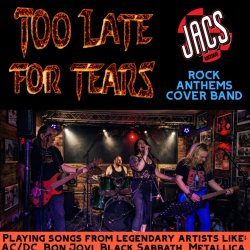 FREE ENTRY: Too Late For Tears (Rock Cover Band)