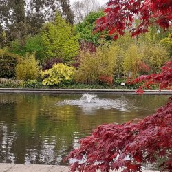 A lake with a water feature surrounded by trees in green and red hues.