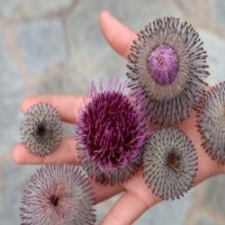 Esplorare in tutti i sensi - Laboratorio per bambini