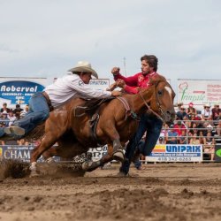 Un cowboy montant son cheval.