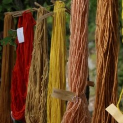 Workshop di impronte botaniche
