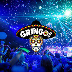 GRINGOS BINGO