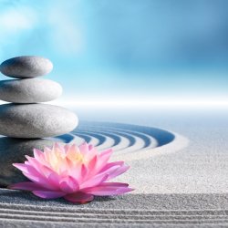 Wednesday Evening Meditation Sessions