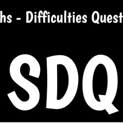 The Strength and Difficulties Questionnaire (SDQ) and Supporting Emotional Wellbeing