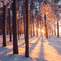 Transformation Within: A Conscious Connected Breathwork Journey