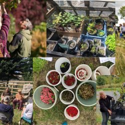 a selection of images of community tree nursery activities including people, trees and seeds