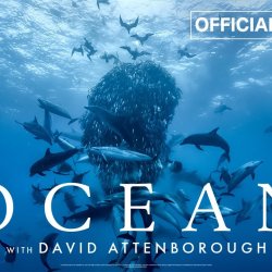 Sustaining Dunbar AGM and Ocean film screening