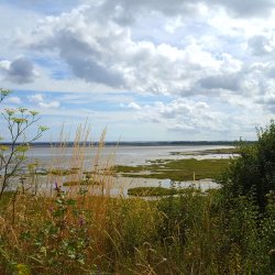 Evening Walk : Pegwell Bay
