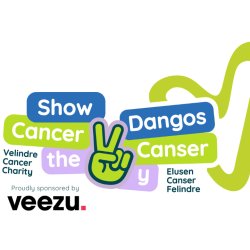 Velindre's 'Show Cancer the V' Fun Run